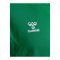 Hummel AUTHENTIC PL Hoody Grün F6235 - gruen