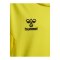 Hummel Authentic Pl Hoody Kids Gelb F5269 - gelb