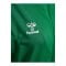 Hummel AUTHENTIC PL Kapuzenjacke Damen Grün F6235 - gruen