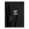 Hummel AUTHENTIC PL Kapuzenjacke Kids Schwarz F2001 - schwarz