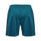Hummel Authentic Pl Short Blau F7058 - blau