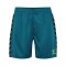 Hummel AUTHENTIC PL Short Kids Blau F7058 - blau