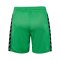 Hummel AUTHENTIC PL Short Kids Grün F6235 - gruen