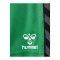 Hummel AUTHENTIC PL Short Kids Grün F6235 - gruen