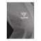 Hummel AUTHENTIC PL Trainingsjacke Grau F2006 - grau