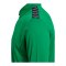 Hummel AUTHENTIC PL Trainingsjacke Grün F6235 - gruen