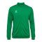 Hummel AUTHENTIC PL Trainingsjacke Grün F6235 - gruen