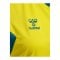 Hummel AUTHENTIC PL Trikot Damen Gelb F6829 - gelb