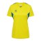 Hummel AUTHENTIC PL Trikot Damen Gelb F6829 - gelb