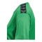 Hummel AUTHENTIC PL Trikot Damen Grün F6235 - gruen