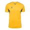 Hummel AUTHENTIC PL Trikot Gelb F5167 - gelb