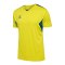 Hummel AUTHENTIC PL Trikot Gelb F6829 - gelb