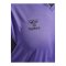 Hummel AUTHENTIC PL Trikot Grau F3766 - grau