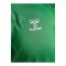 Hummel AUTHENTIC PL Trikot Grün F6235 - gruen