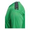 Hummel AUTHENTIC PL Trikot Grün F6235 - gruen