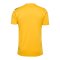 Hummel Authentic Pl Trikot Kids Gelb F5167 - gelb