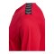 Hummel AUTHENTIC PL Trikot Rot F3062 - rot