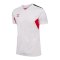 Hummel AUTHENTIC PL Trikot Weiss F9402 - weiss