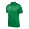 Hummel AUTHENTIC Polo Grün F6235 - gruen