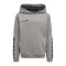 Hummel Authentic Poly Hoody Kids Grau F2006 - grau