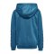 Hummel Authentic Poly Hoody Kids Türkis F8745 - tuerkis