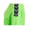 Hummel Authentic Poly Trikot kurzarm Damen F6750 - gruen
