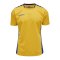 Hummel Authentic Poly Trikot kurzarm Gelb F5167 - gelb