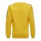 Hummel Authentic Training Sweatshirt Kids F5001 - gelb