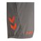 Hummel Blaze Pro Training Short Grau F2350 - grau