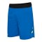 Hummel Blaze Pro Training Short Kids Blau F8650 - blau