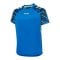 Hummel Blaze Pro Training Trikot Kids Blau F8650 - blau