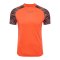 Hummel Blaze Pro Training Trikot Orange F4127 - orange