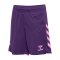 hummel Core 2.0 Short Kids Rot F3935 - rot
