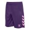hummel Core 2.0 Short Rot F3935 - rot
