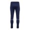 hummel Core 2.0 Trainingshose Blau F7929 - blau