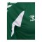 hummel Core 2.0 Trikot Grün F6131 - gruen