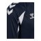 hummel Core 2.0 Trikot Langarm Blau F7929 - blau
