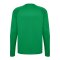 hummel Core 2.0 Trikot Langarm Grün F6129 - gruen
