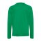 hummel Core 2.0 Trikot Langarm Kids Grün F6129 - gruen
