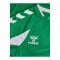 hummel Core 2.0 Trikot Langarm Kids Grün F6129 - gruen