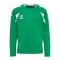 hummel Core 2.0 Trikot Langarm Kids Grün F6129 - gruen