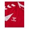 hummel Core 2.0 Trikot Langarm Kids Rot F3946 - rot