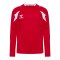 hummel Core 2.0 Trikot Langarm Kids Rot F3946 - rot