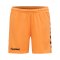 Hummel Core GK Torwarttrikotset Orange F5006 - orange