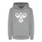 Hummel Cuatro Hoody Kids Grau F2800 - grau