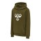 Hummel Cuatro Hoody Kids Grün F6086 - gruen
