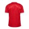 Hummel Dänemark Trikot Home 2024 Rot F3365 - rot
