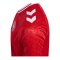 Hummel Dänemark Trikot Home 2024 Rot F3365 - rot