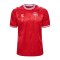 Hummel Dänemark Trikot Home 2024 Rot F3365 - rot