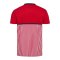 hummel DBU Fan 86 Block Cotton T-Shirt 2026 Rot F3681 - rot
